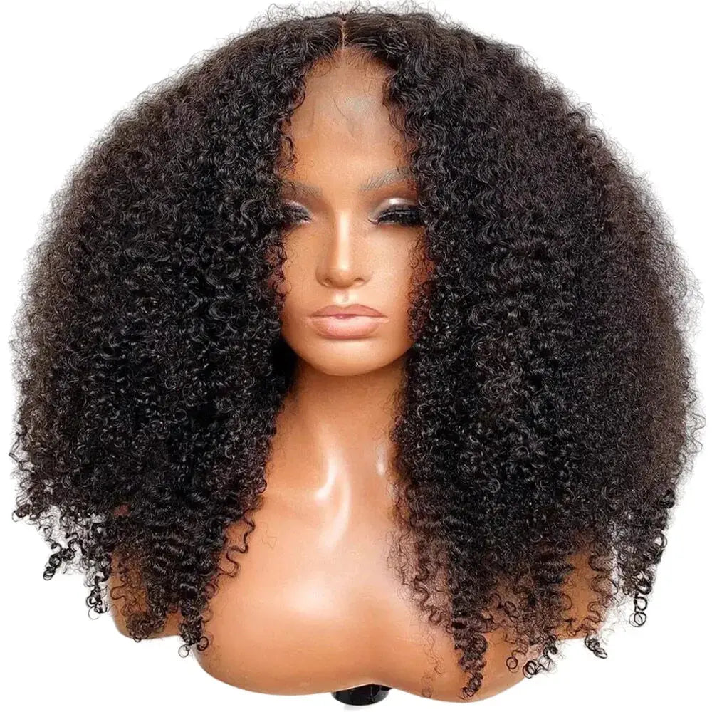 Mongolian | Kinky Curly | Human Hair | Lace Front | Lace Closure Wig Luxegan