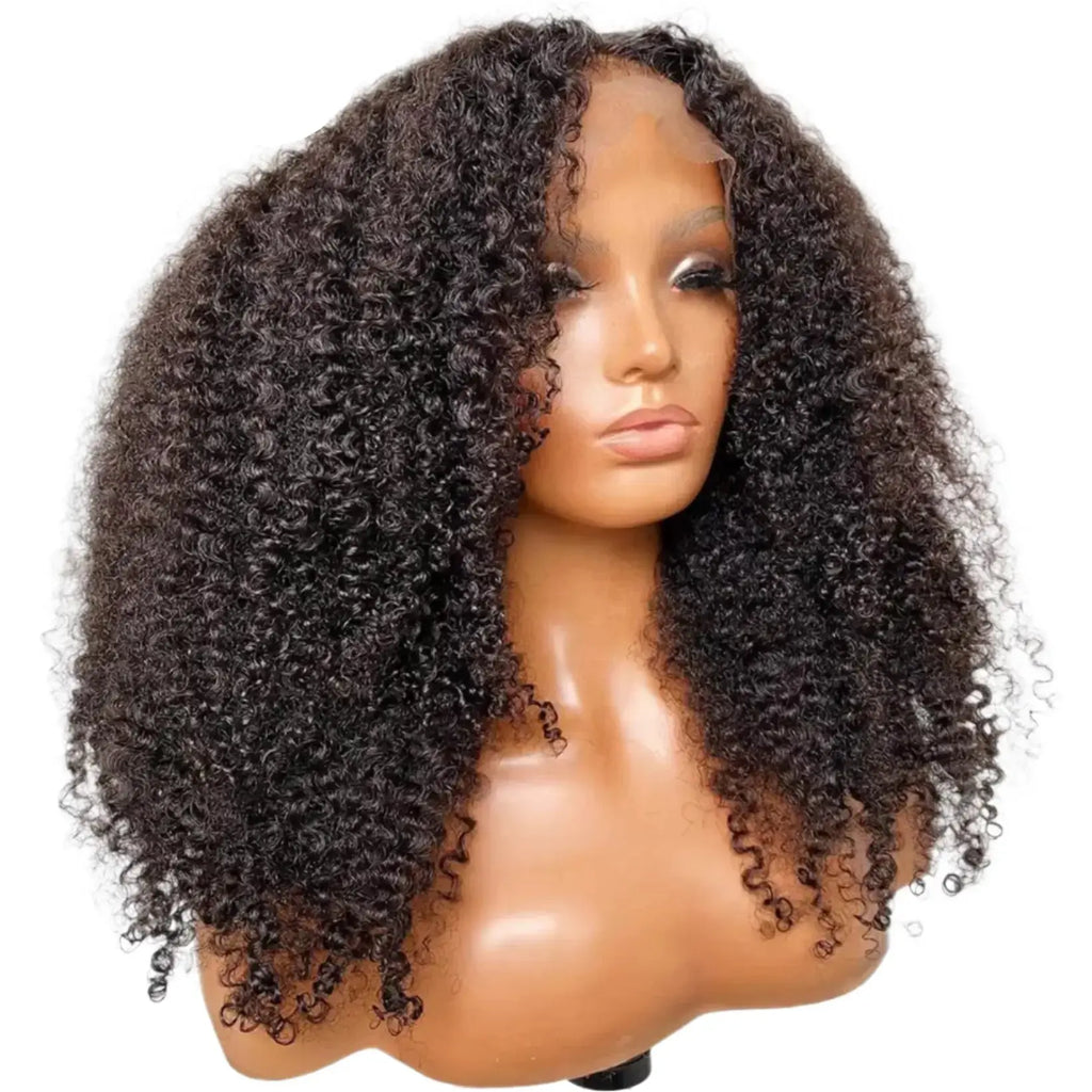 Mongolian | Kinky Curly | Human Hair | Lace Front | Lace Closure Wig Luxegan
