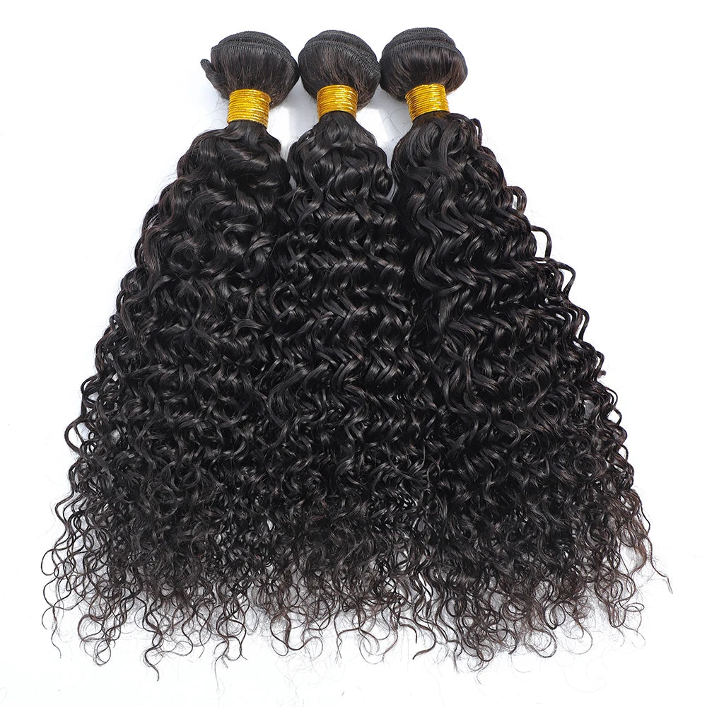 Curly Human Hair 3 Bundles 12 14 16 inch 100% Unprocessed Brazilian Curly Hair Bundles Soft Remy Hair The Hair Plug