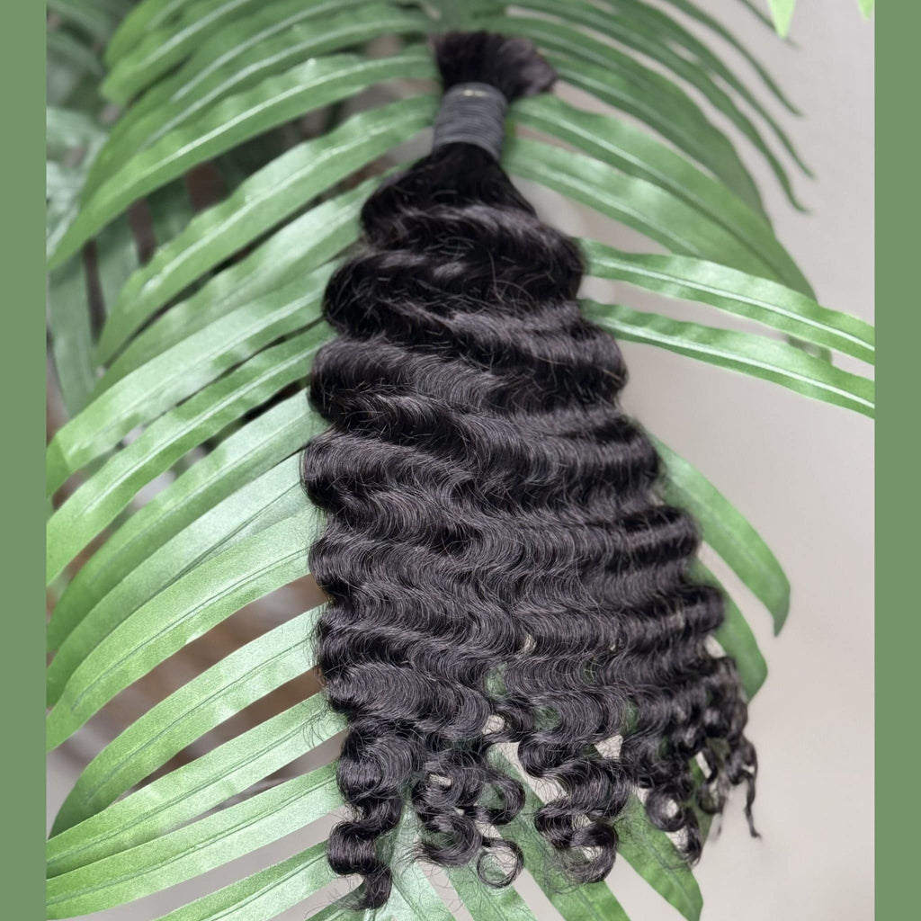 Burmese Curly Fula Beauty