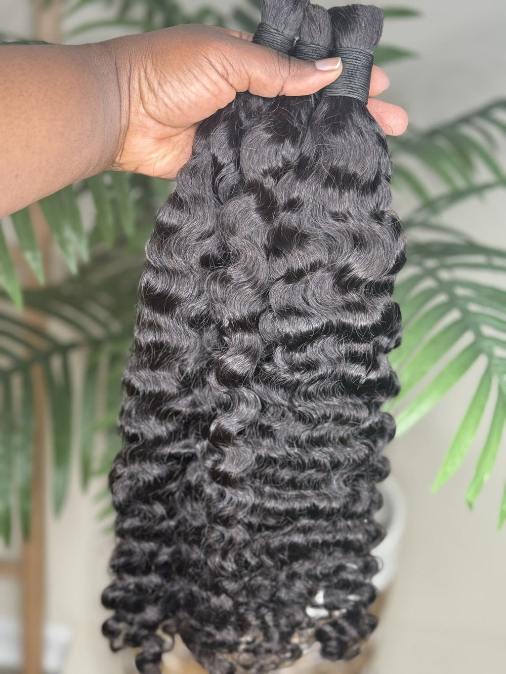Burmese Curly Fula Beauty