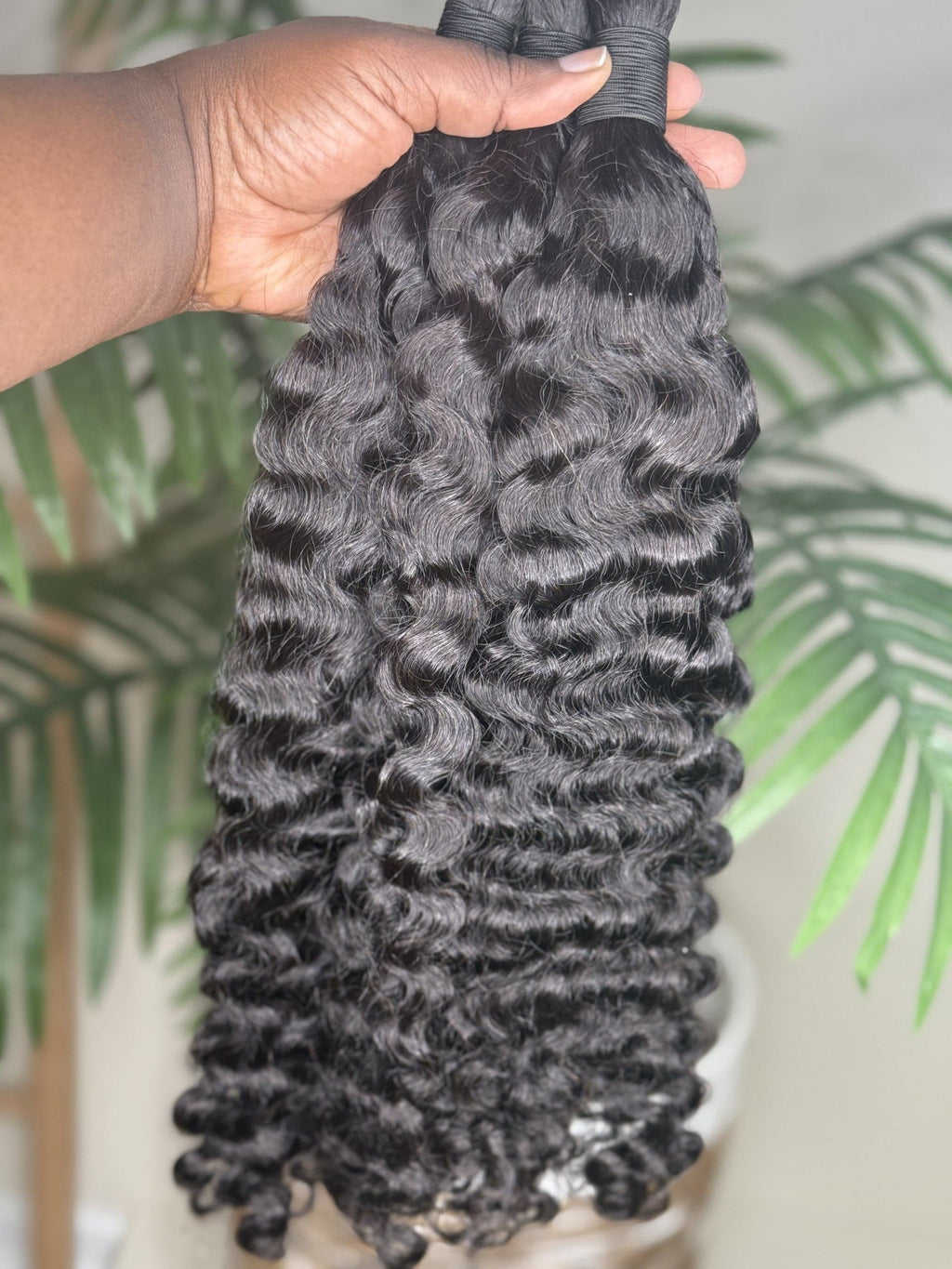 Burmese Curly Fula Beauty