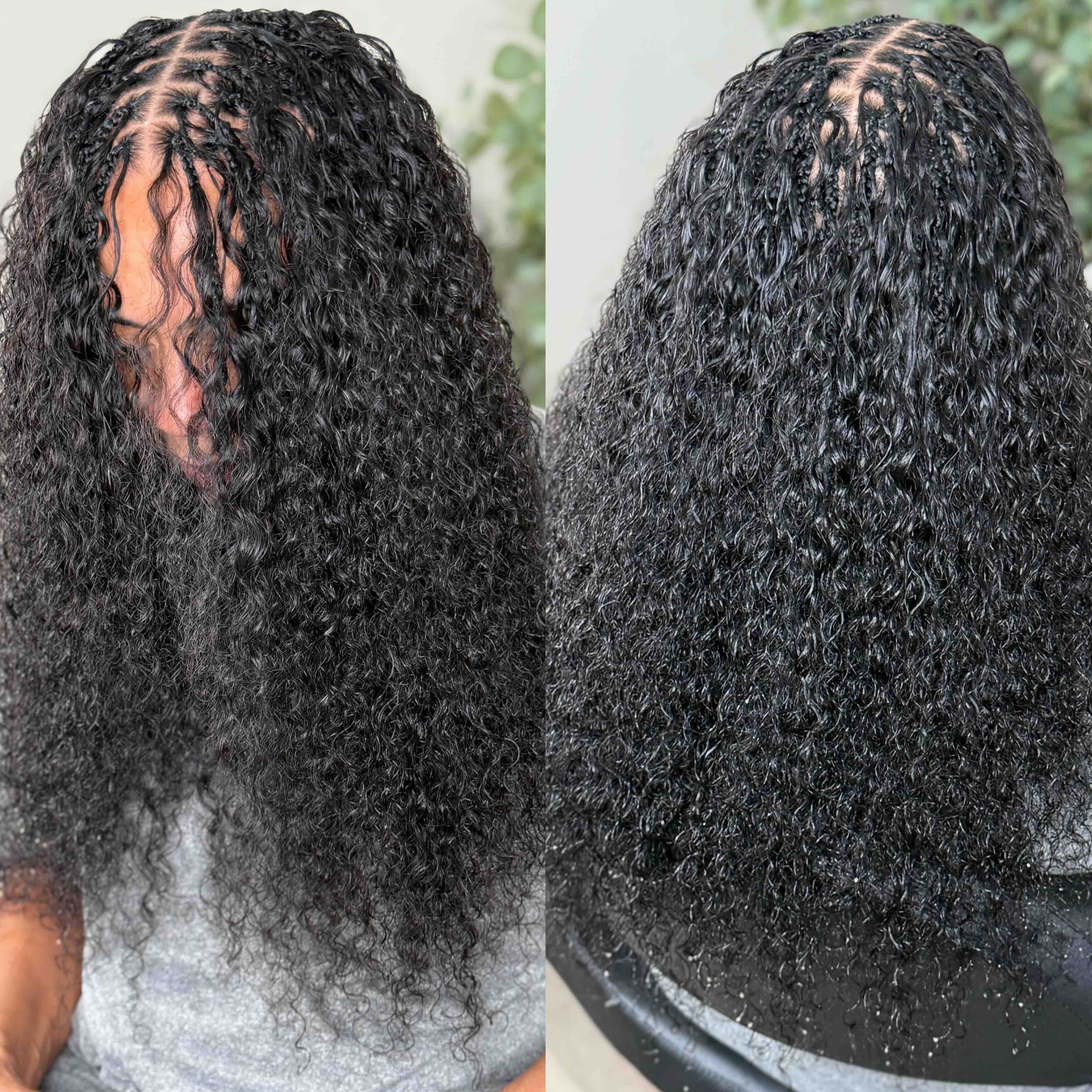 Burmese Curly Fula Beauty
