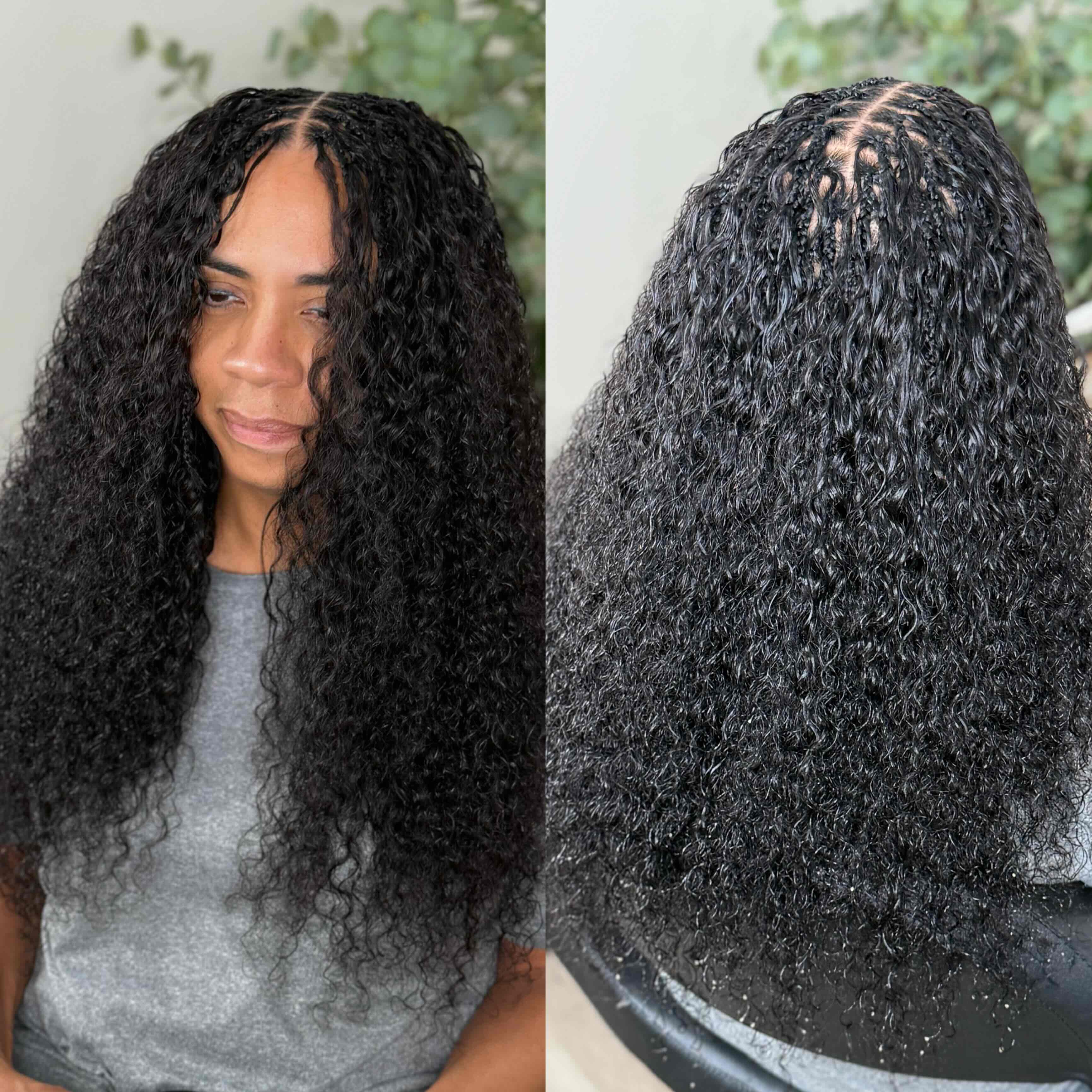 Burmese Curly Fula Beauty