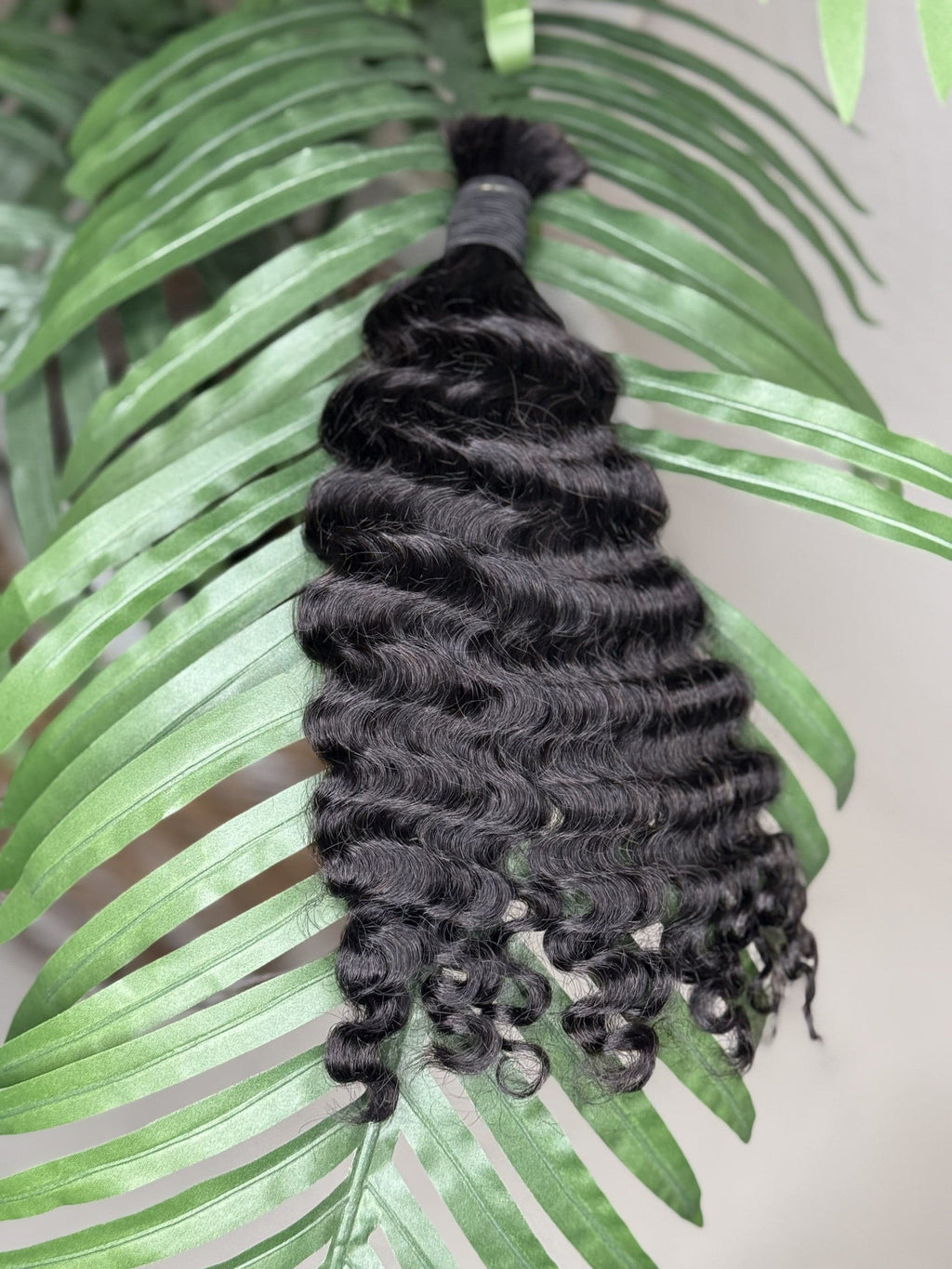 Burmese Curly Fula Beauty