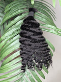 Burmese Curly Fula Beauty